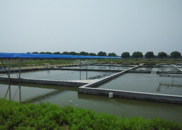 公司信息更新报告：生猪养殖成绩优异出栏稳健增长业绩持续兑现
