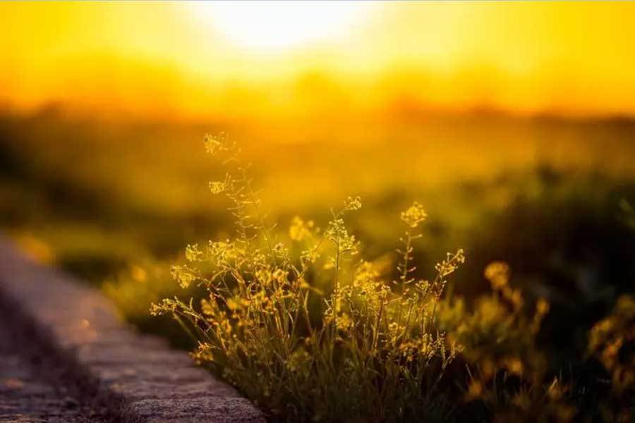 智慧城市系统优化交通管理